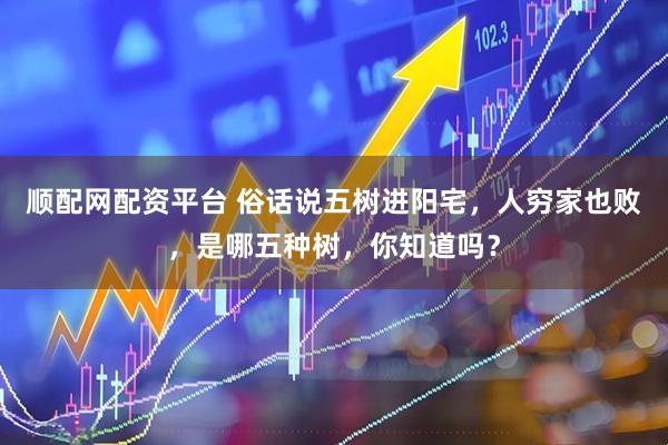 顺配网配资平台 俗话说五树进阳宅，人穷家也败，是哪五种树，你知道吗？