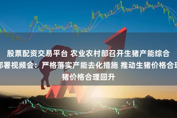 股票配资交易平台 农业农村部召开生猪产能综合调控部署视频会：严格落实产能去化措施 推动生猪价格合理回升
